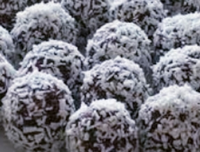 91. RAS AL-ABED (5 PCS)